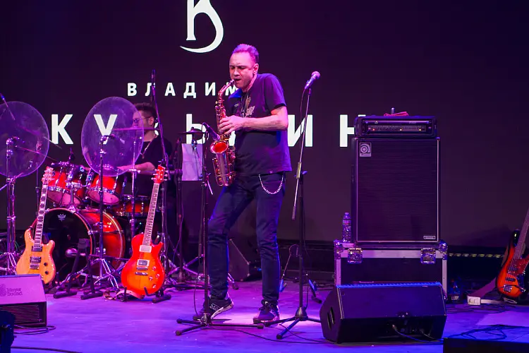 Концерт Владимира Кузьмина